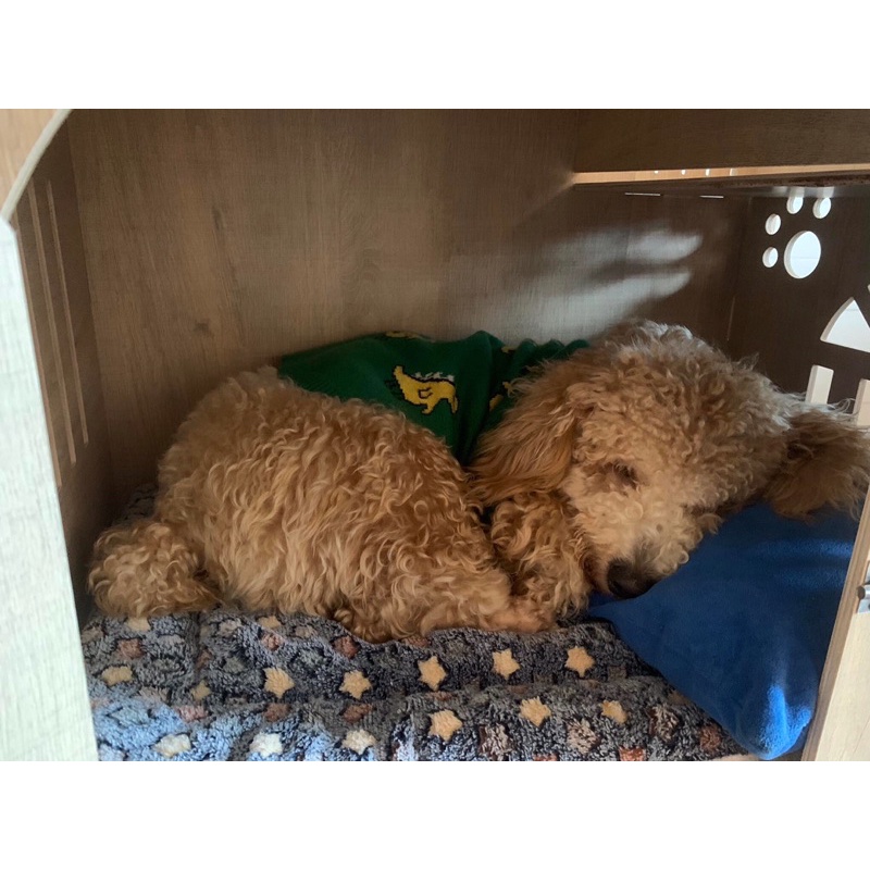 Đệm êm ái mềm mại, ấm áp cho chó mèo