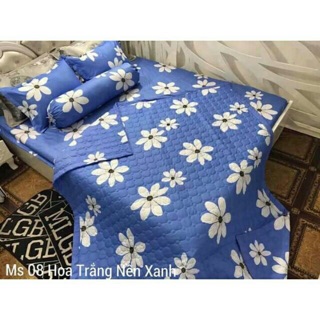 Chăn ga gối cotton poly