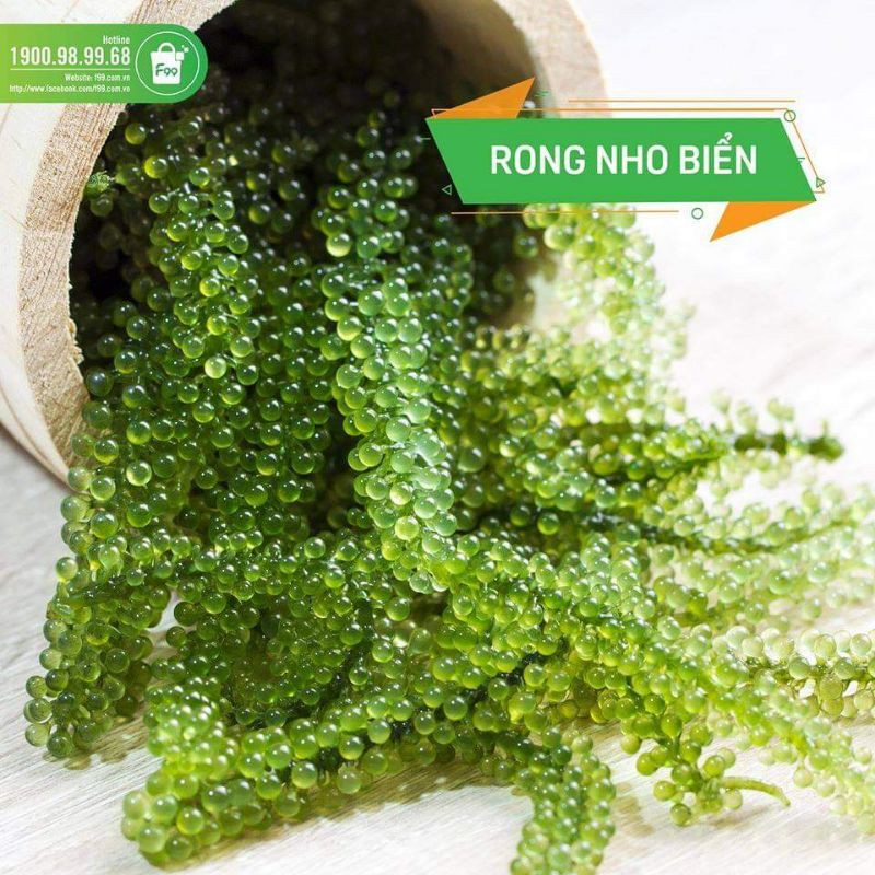 Rong Nho Greenfood - Gói 20gr Tách Nước Công Nghệ Nhật Tặng Kèm Sốt Mè Rang