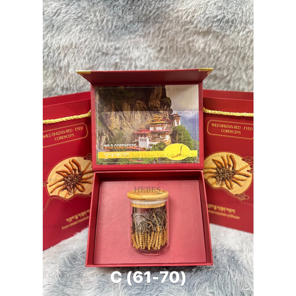 ĐÔNG TRÙNG HẠ THẢO MẮT ĐỎ THIÊN NHIÊN NÚI TUYẾT BHUTAN 10GRAM SIZE 61-70 CON