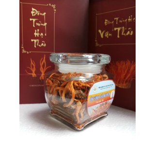Đông trùng hạ thảo nguyên con – thể khô