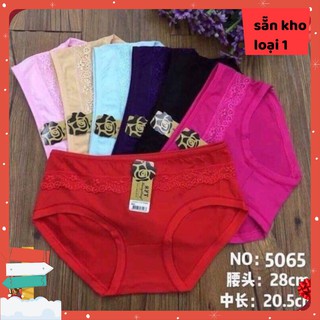Bán sỉ/ combo 10q coton nữ ⚡️ mềm - mịn -mát hđ11 _