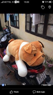 Chó mặt nhăn