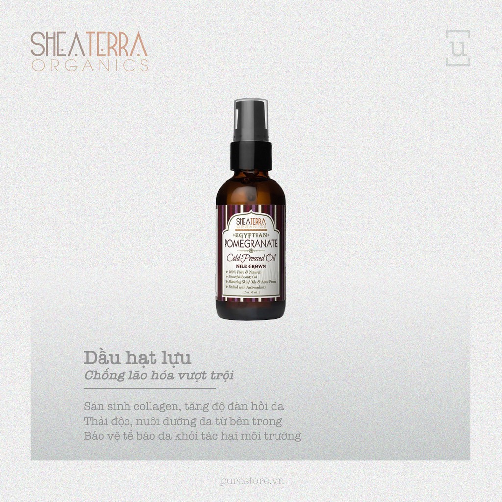 Dầu Hạt Lựu Pommegranate - Shea Terra