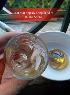 Mật ong Hoa xuyến chi (0,5lit)