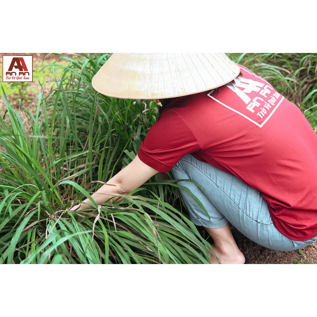 Nước lau sàn hữu cơ sả chanh An An can 5 lít nước lau nhà sạch bóng khử mùi xua đuổi côn trùng hiệu quả