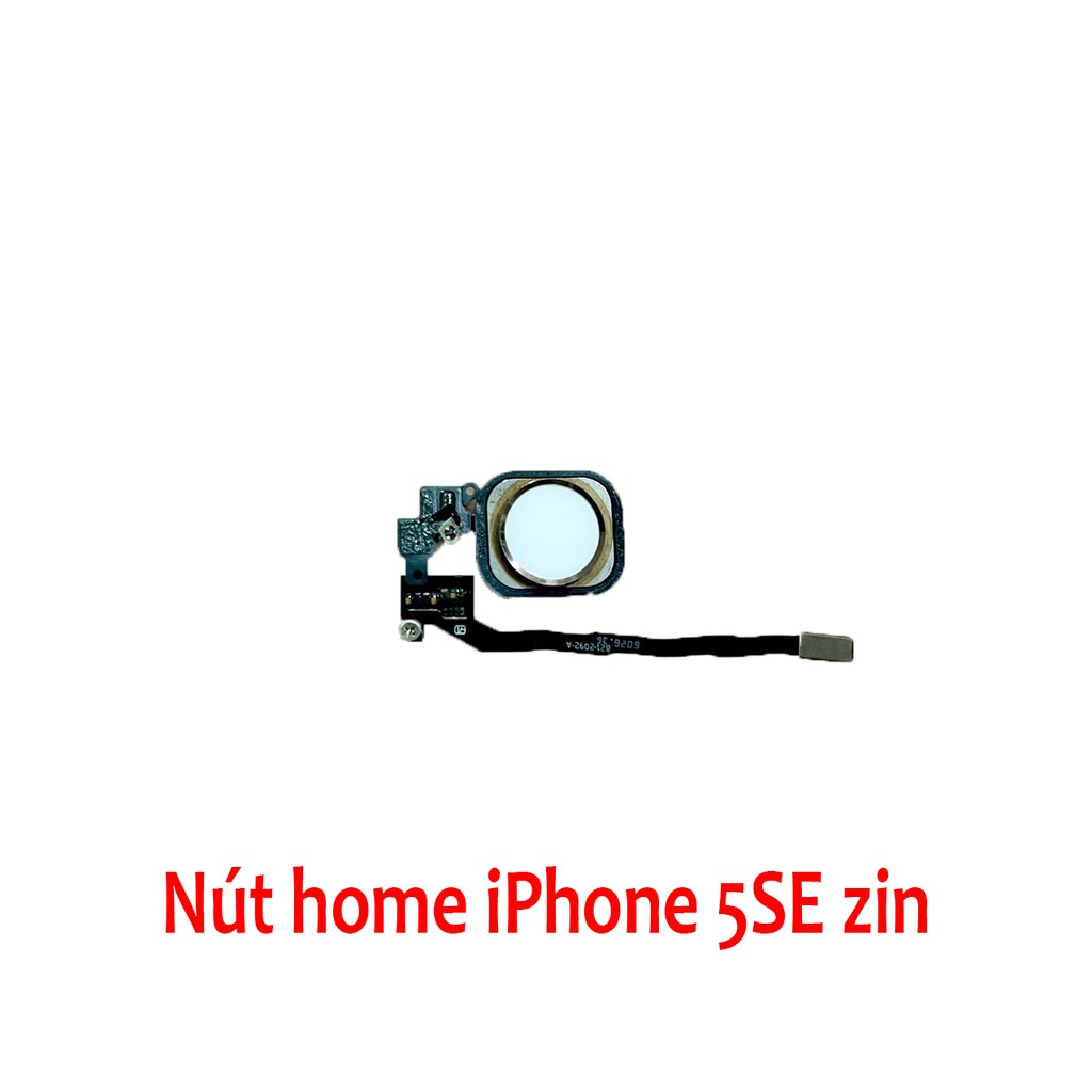Nút home iPhone 5SE zin tháo máy màu hồng