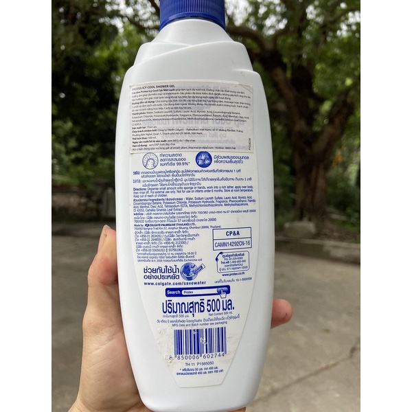 Sữa Tắm Protex Icy Cool Diệt Khuẩn Làm Mát Lạnh 500ml