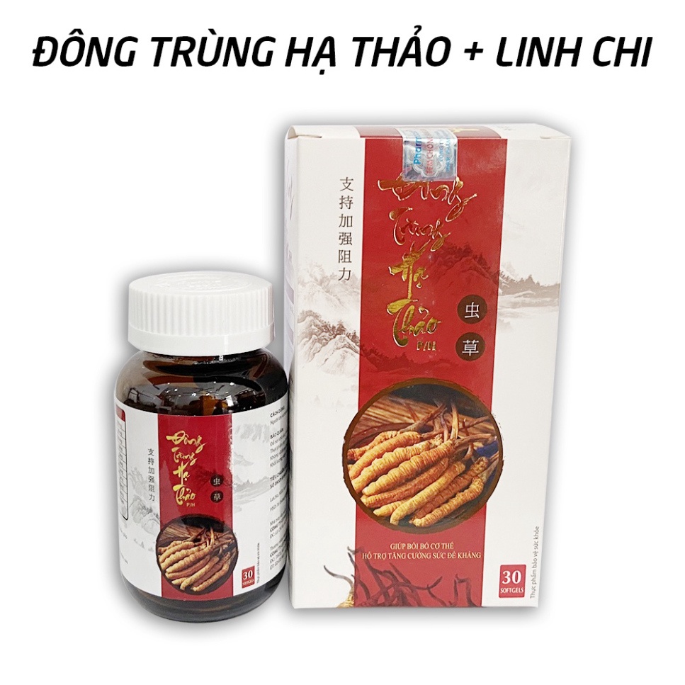 Cao đông trùng hạ thảo, cao nấm linh chi tăng sức khỏe, tăng sức đề kháng - 30 viên