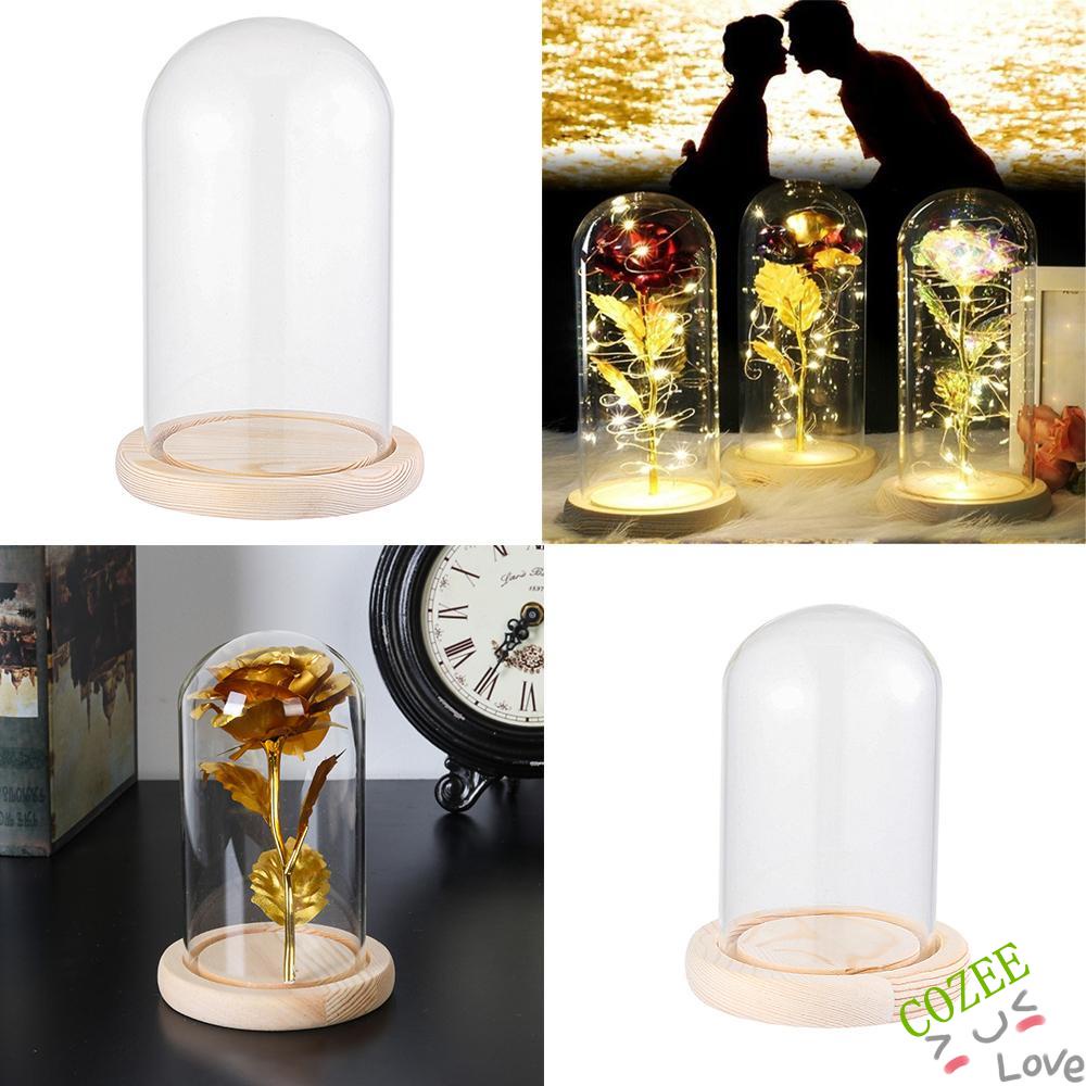 Lọ Thủy Tinh Trong Suốt Đựng Hoa Để Bàn Đế Gỗ