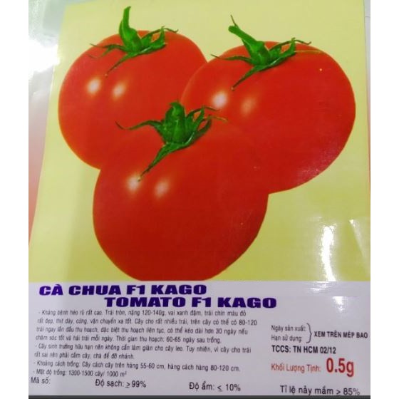 HẠT GIỐNG CÀ CHUA TRÁI TRÒN F1 KAGO - GÓI 0,5 GRAM