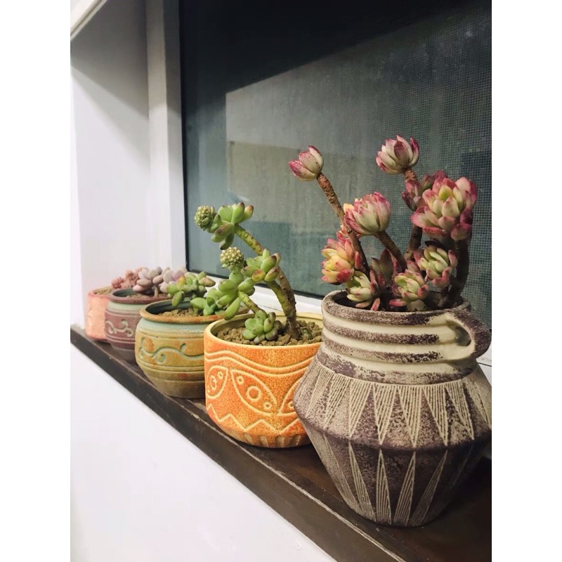 Sét chậu theo hình cao cấp