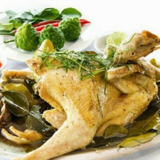 Cây chanh chúc hấp gà
