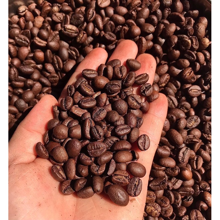 Cà Phê Arabica Cầu Đất Đà Lạt  Chữ P | BigBuy360 - bigbuy360.vn