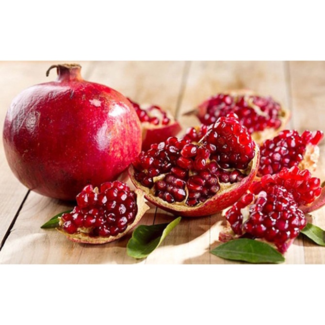 Phân URE - Đạm URE Phú Mỹ  phát triển cành lá, nảy chồi, giúp cây tăng trưởng và phát triển