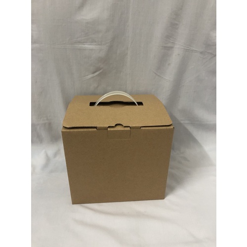 Hộp giấy để trái cây/đồ nặng có quai xách có 2 kích thước/cái