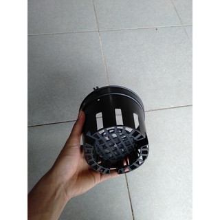 50 Chậu lan đen fi 18
