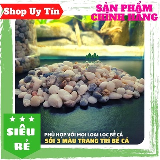 Sỏi 3 màu trang trí bể cá, tiểu cảnh, giá rẻ
