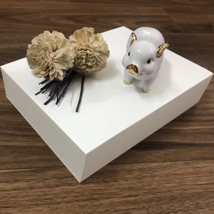 Flashcard - 100 Thẻ trắng 15x20 cm chuẩn giấy Ivory 350