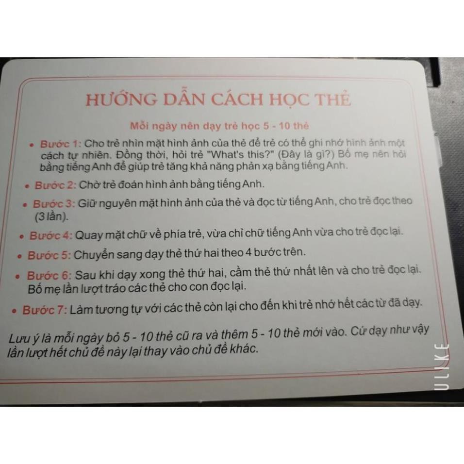 Thẻ học thông minh Chủ đề động vật hoang dã song ngữ Việt Anh