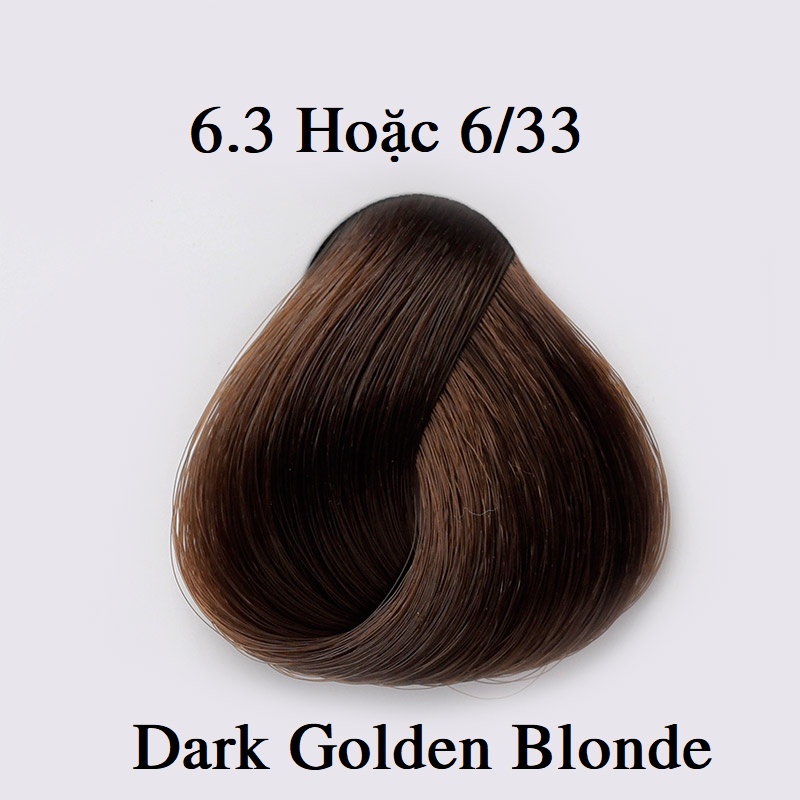 Thuốc Nhuộm Tóc Màu Nâu Vàng Tối Dark Golden Blonde Hair Dye Cream 6/3