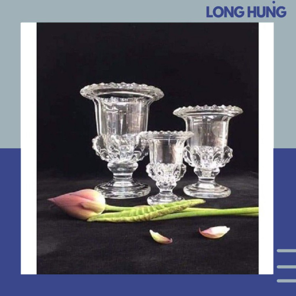 🍒Ly thủy tinh đựng phật thủ, cắm hoa, trưng bày phật thủ chơi Tết màu sắc tinh tế