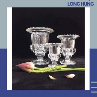 🍒Ly thủy tinh đựng phật thủ, cắm hoa, trưng bày phật thủ chơi Tết màu sắc tinh tế