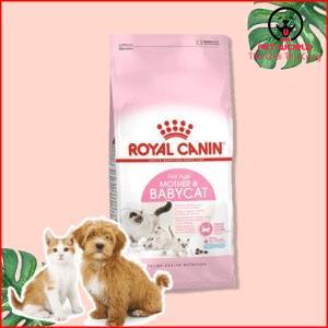 Thức ăn hạt cao cấp cho mèo Royal Canin Mother and Baby Cat túi 4kg