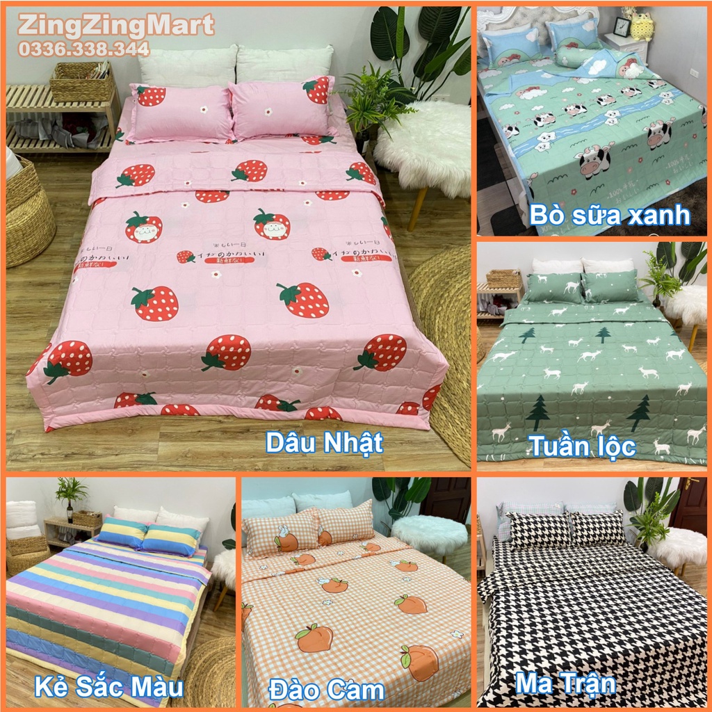 [GIÁ HỦY DIỆT] 5 MÓN CHĂN HÈ GA GỐI M2/M6/M8 TRẦN BÔNG COTTON POLY KÈM VỎ GỐI ÔM (Inbox Chọn Mẫu)