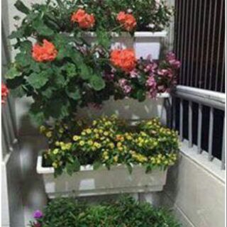 4 chiếc chậu trồng hoa hình chữ nhật  (48cm x20cm x16cm )