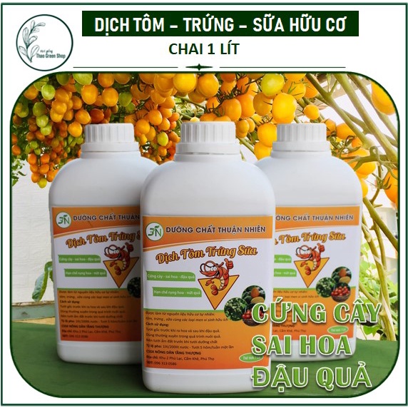 Dịch Tôm - Trứng - Sữa - Phân Bón Giai Đoạn Ra Hoa Đậu Quả