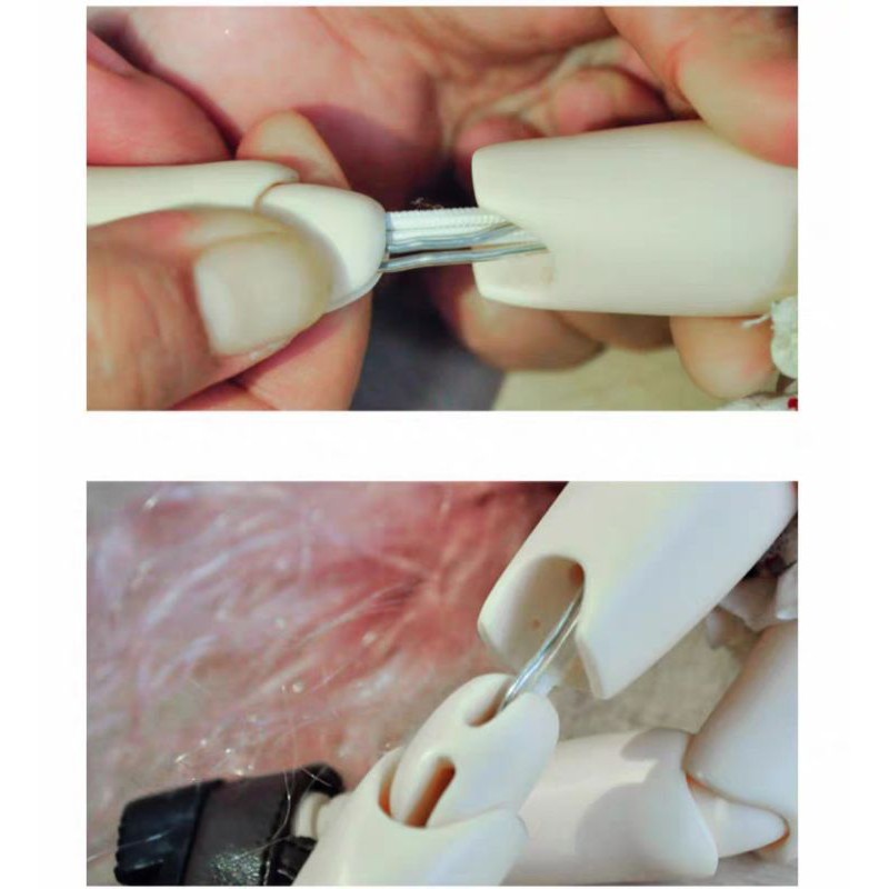 Dây kẽm bọc nhựa cho BJD