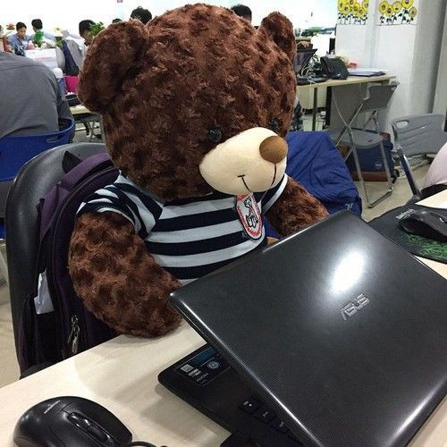 Gấu bông Teddy Cao Cấp khổ vải 1m Cao 80m màu Nâu hàng VNXK- Best Bear- Được Xem Hàng Trước