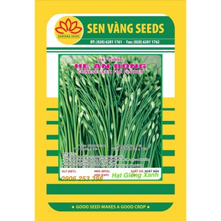 Gói 1Gr Hạt giống Hẹ Ăn Bông Năng Suất Dễ trồng