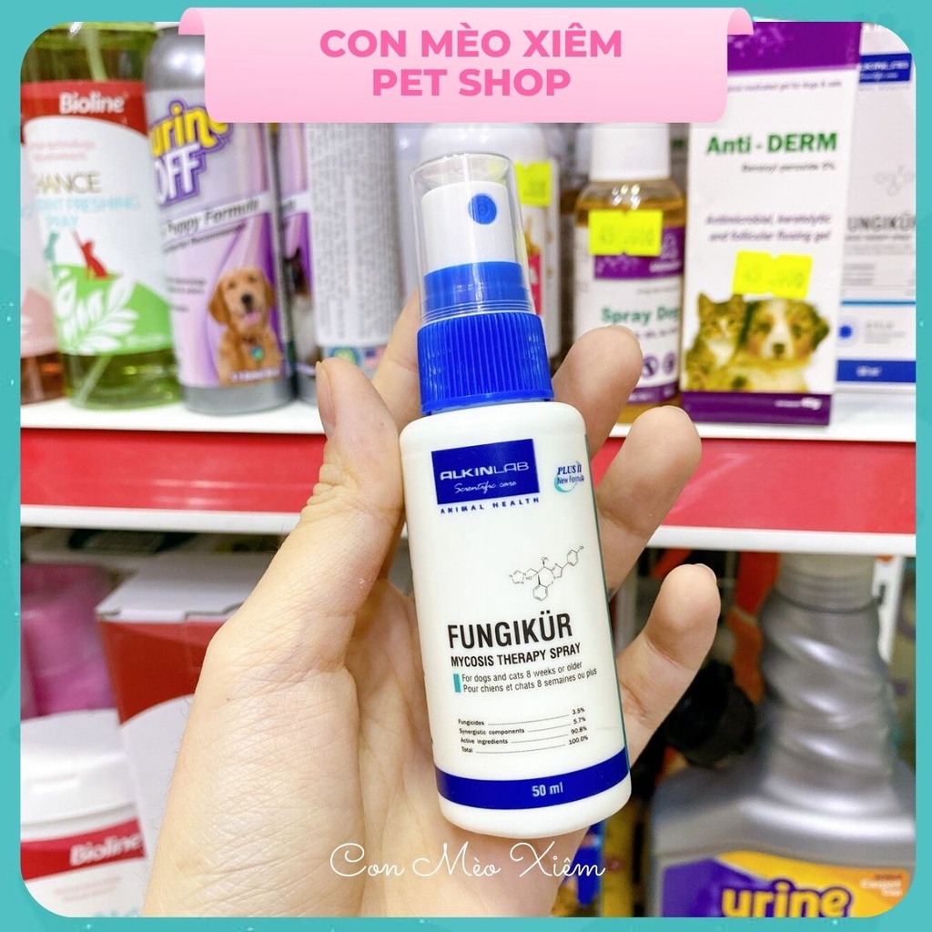 Xịt chó mèo viêm da nấm da Fungikur 50ml, chăm sóc lông hiệu quả cho thú cưng Con Mèo Xiêm