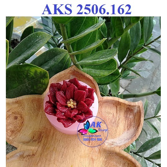 KHUÔN SILLICON THƯỢC DƯỢC MEXICO (2506.162)