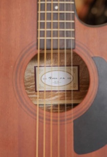 ĐÀN GUITAR ACOUSTIC ROSEN G15
