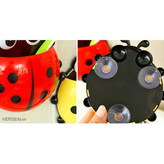 Combo 2 Bọ Cánh Cam Treo Bàn Chải