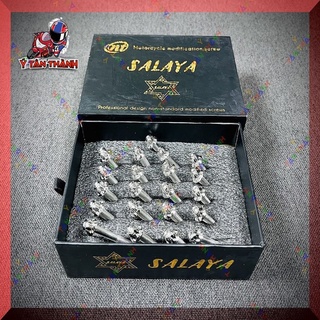 Bộ ốc lốc máy salaya exciter 150 21 con ms655