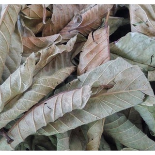 100 gr Lá Ổi Khô Loại 1