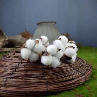 phụ kiện chụp ảnh quả bông
