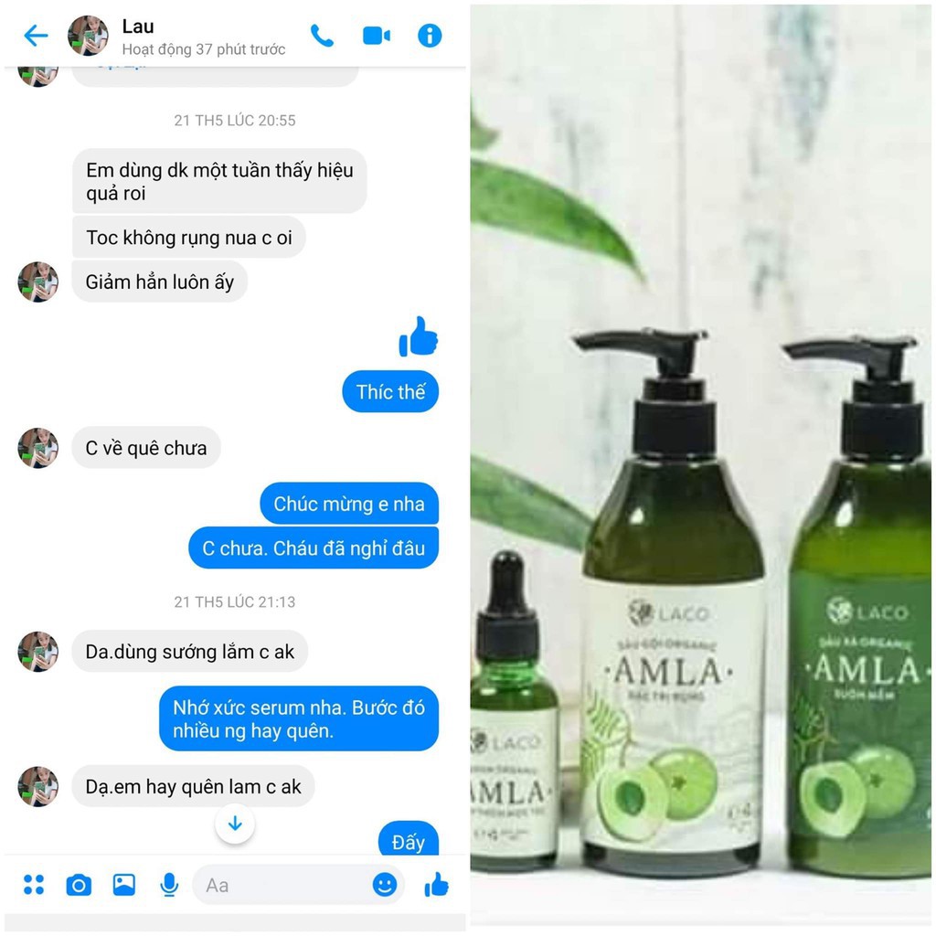 Dầu Gội Đầu 💝FREESHIP💝 Amla Laco  Ngăn Rung Tóc Sạch Gàu Hết Ngứa - Dầu Gội Organic Chiết Xuất Bồ kết Quả Amla