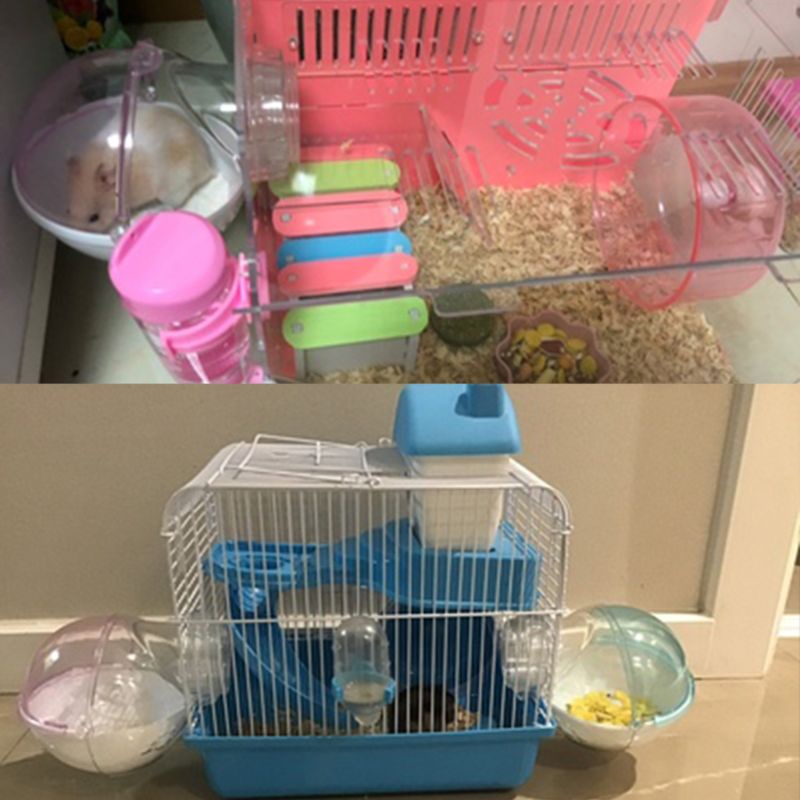 Lồng Cát Đi Vệ Sinh Cho Chuột Hamster