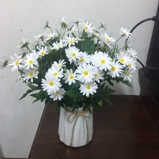 combo 10 cành cúc hoa mi