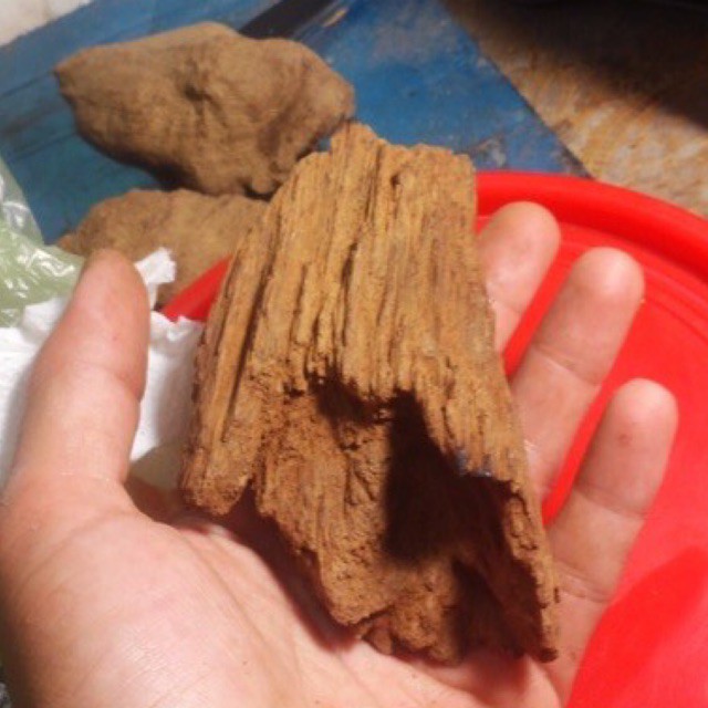 TRẦM HƯƠNG RỤC VÀNG PHƯỚC SƠN LOẠI 1