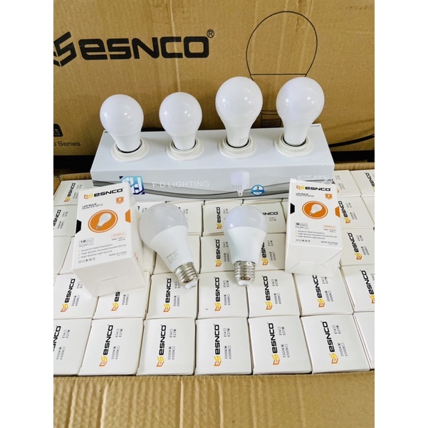 1 THÙNG  BÓNG BÚP 5W - 9W - 12W - 15W ÁNH SÁNG TRẮNG VÀ ÁNH SÁNG VÀNG ĐẸP CHẤT LƯỢNG
