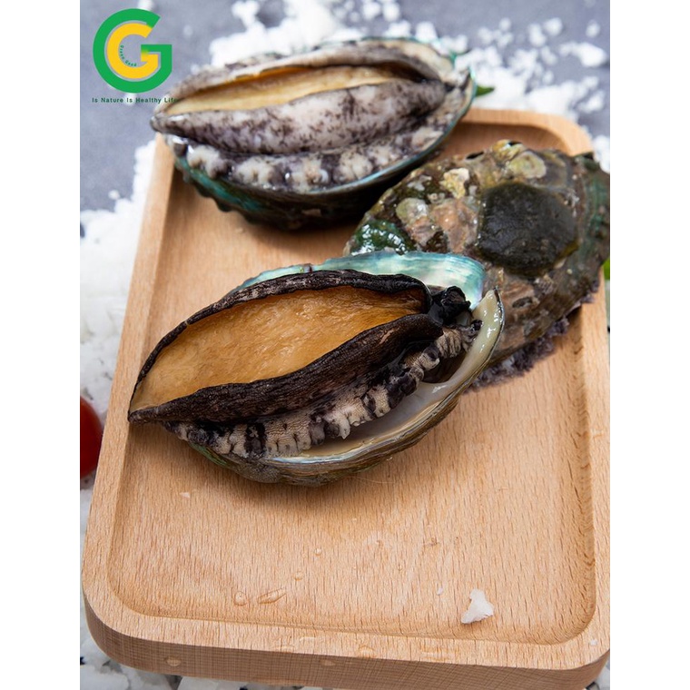 Bào Ngư Hàn Quốc Tươi Nhập Khẩu Green Good Chế Biến Nướng, Cháo, Hầm 1Kg