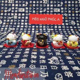 SET 5 MÈO MAY MẮN THẢM ĐỎ 4CM
