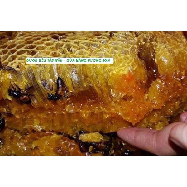 MẬT ONG RỪNG NGUYÊN CHẤT NGUYÊN SÁP (MẬT ONG KHOÁI, MẬT ONG RUỒI, MẬT ONG ĐÁ) (1KG)