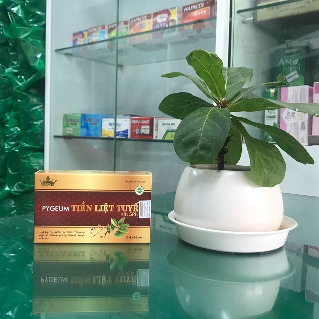 {Mẫu mới} Pygeum Kingphar - Hỗ Trợ Giảm kích thước Tuyến Tiền Liệt (30 Viên)